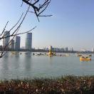 一角钱的个人资料头像