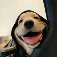 今晚要早睡4Q4d头像