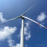 酒肉码农的个人资料头像