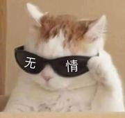overthinker的个人资料头像