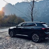 时髦小鱼缸头像