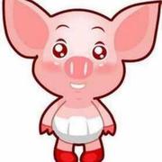 迷你小猪的个人资料头像