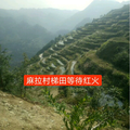战胜饥饿头像