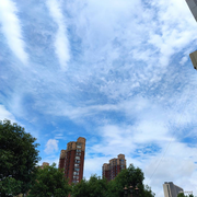 周粥屋的个人资料头像