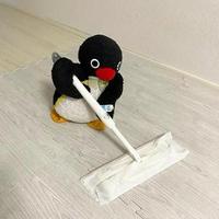 我就是粉色的我头像