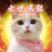 sssshdddd的个人资料头像