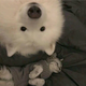 用户6072322659739头像