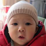 潇洒人间五百年头像