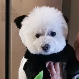 大雪4q1Q头像