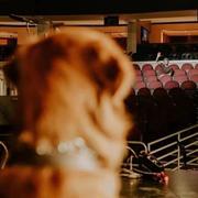 五级风不是很大的个人资料头像