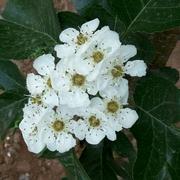 云依然的个人资料头像