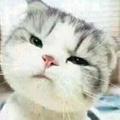 为图开心头像