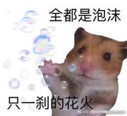 一枚不会后端的前端的个人资料头像