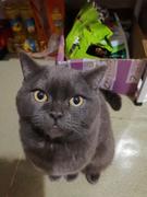 1450607304的个人资料头像