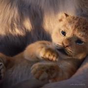 _juejin_的个人资料头像