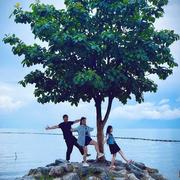 sorrymusic的个人资料头像