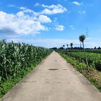 A状师田伯光头像