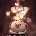 异域风情50003393头像