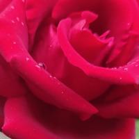 用户4956382797214头像