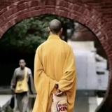 机智的星辰8et头像