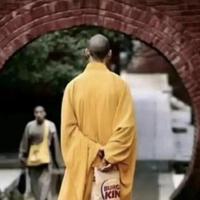 机智的星辰8et头像