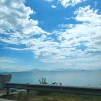 小白马上飞头像