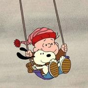 微风239的个人资料头像