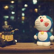 秋宾的个人资料头像