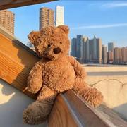 Sakura的猫的个人资料头像