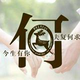 坦城相待头像