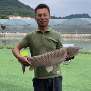 李二帅爱鱼乐头像