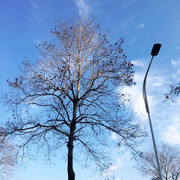 Echo君21931的个人资料头像