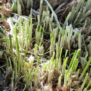 user5528055261797的个人资料头像