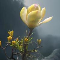 用户780649796139头像