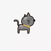 985089028的个人资料头像