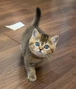 nbilly的个人资料头像