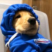 你小子在干什么的个人资料头像