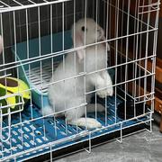 克己精神紫罗兰的个人资料头像