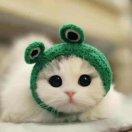 珍惜同学的个人资料头像