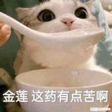 达令兽头像