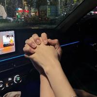 淡泊的百灵鸟4wk头像