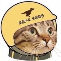 外卖小猫阳仔头像