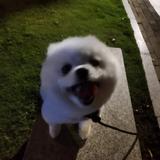 园桑桑头像