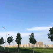 小巴哥哥的个人资料头像