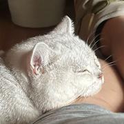 用户3673721096915的个人资料头像