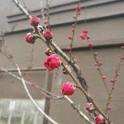 鹭声123的个人资料头像