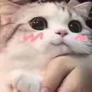 QQQQQQi的个人资料头像