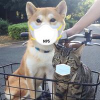 我有医保你先跑m头像