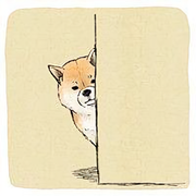 好奇哈米说的个人资料头像