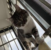 ailuoku6在掘金的个人资料头像